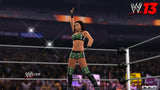 WWE 13