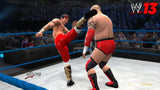 WWE 13